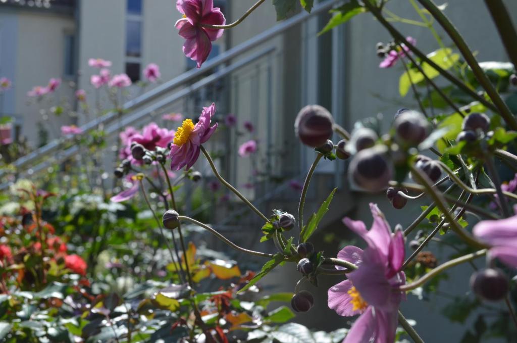 Hotel Ochsen Stuttgart