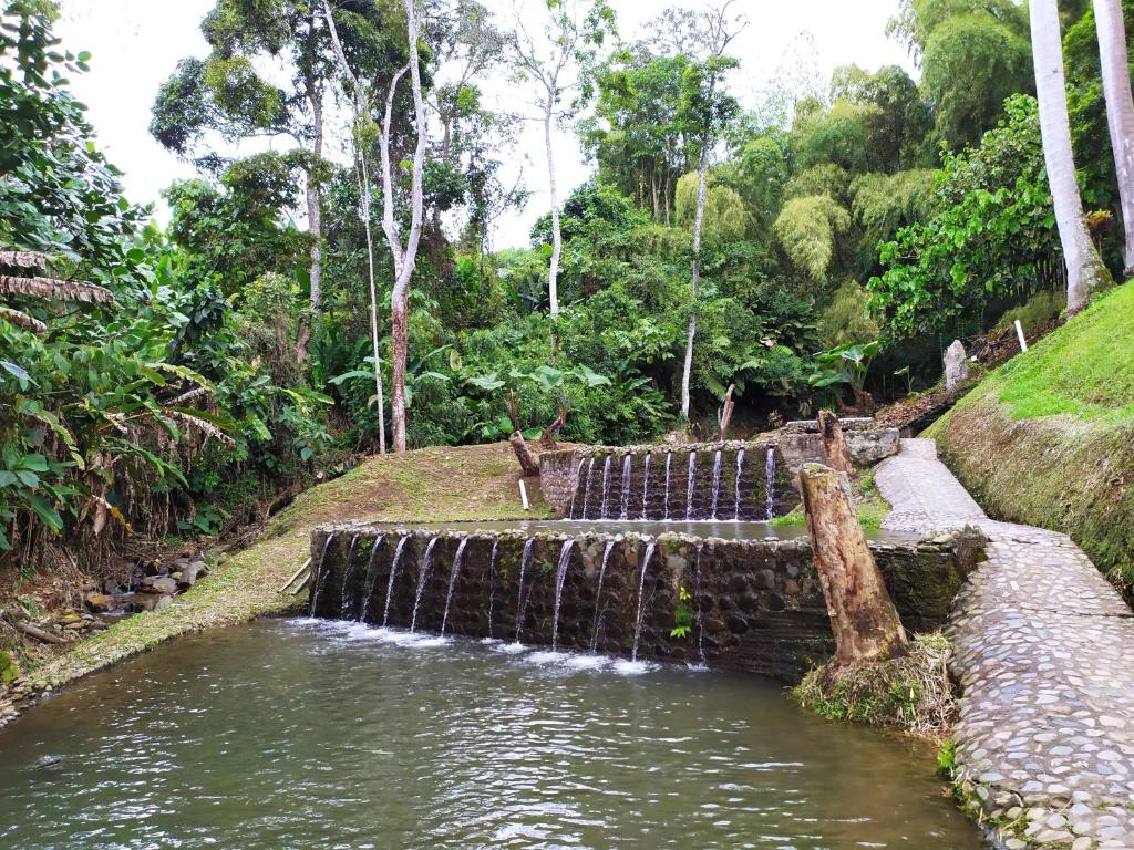 Finca 05 Combia Pereira Eje Cafetero