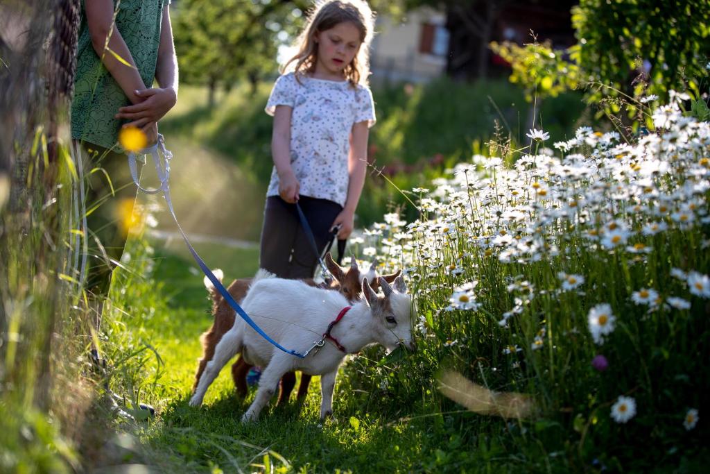 Děti v ubytování Gästehaus Biobauernhof Mandl