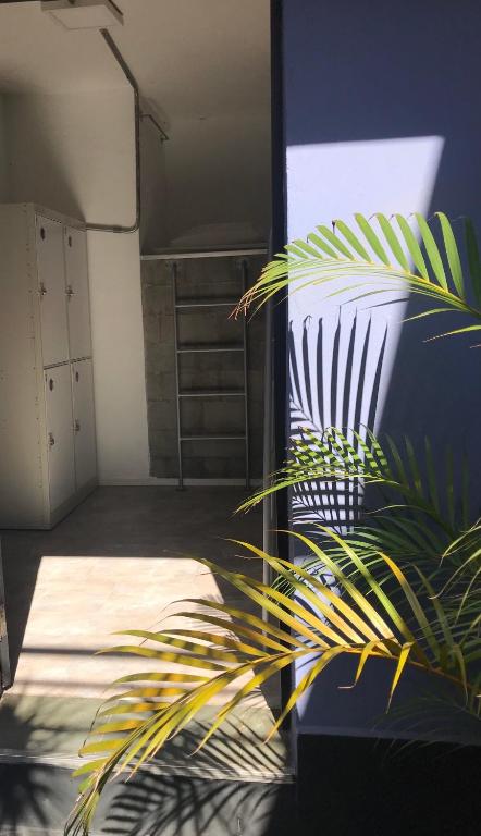 Viva Hostel Design