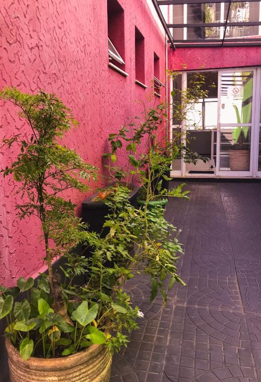  Viva Hostel Design
