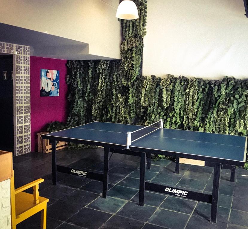  Viva Hostel Design