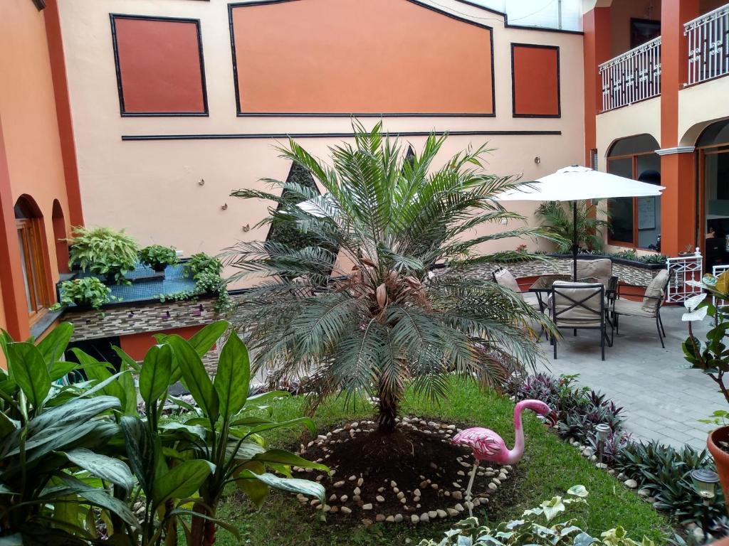 Zahrada ubytování Hotel Posada Del Parque