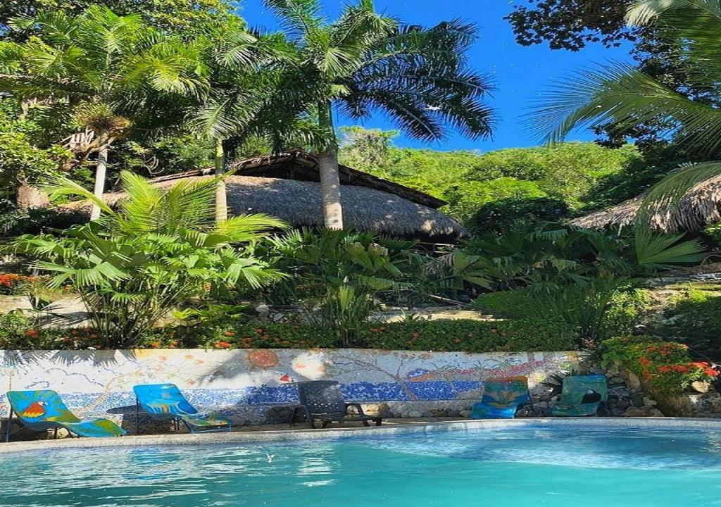 a swimming pool with blue chairs and palm trees at Monte Verde Hostal in El Zaino