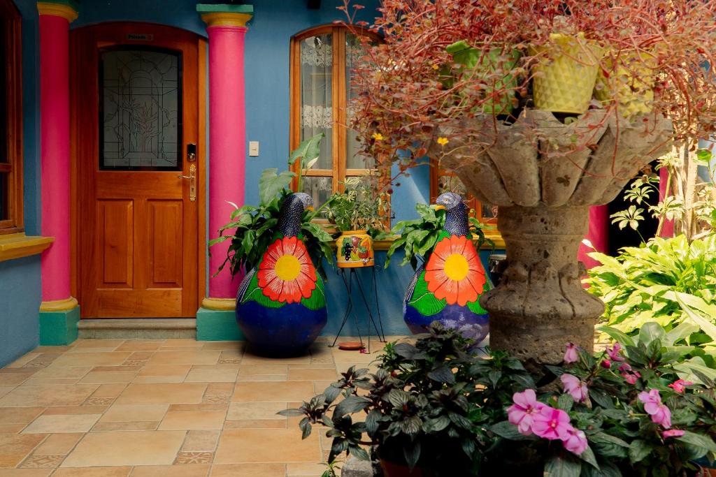 Zahrada ubytování Hotel Tepeyac