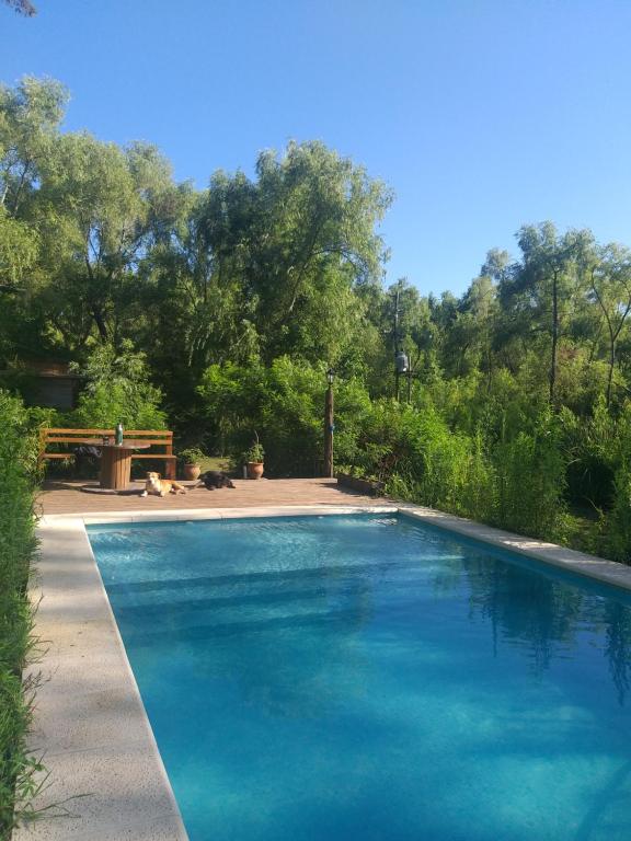 a large blue swimming pool in a yard at Cabañas Amo Río - Delta in Tigre