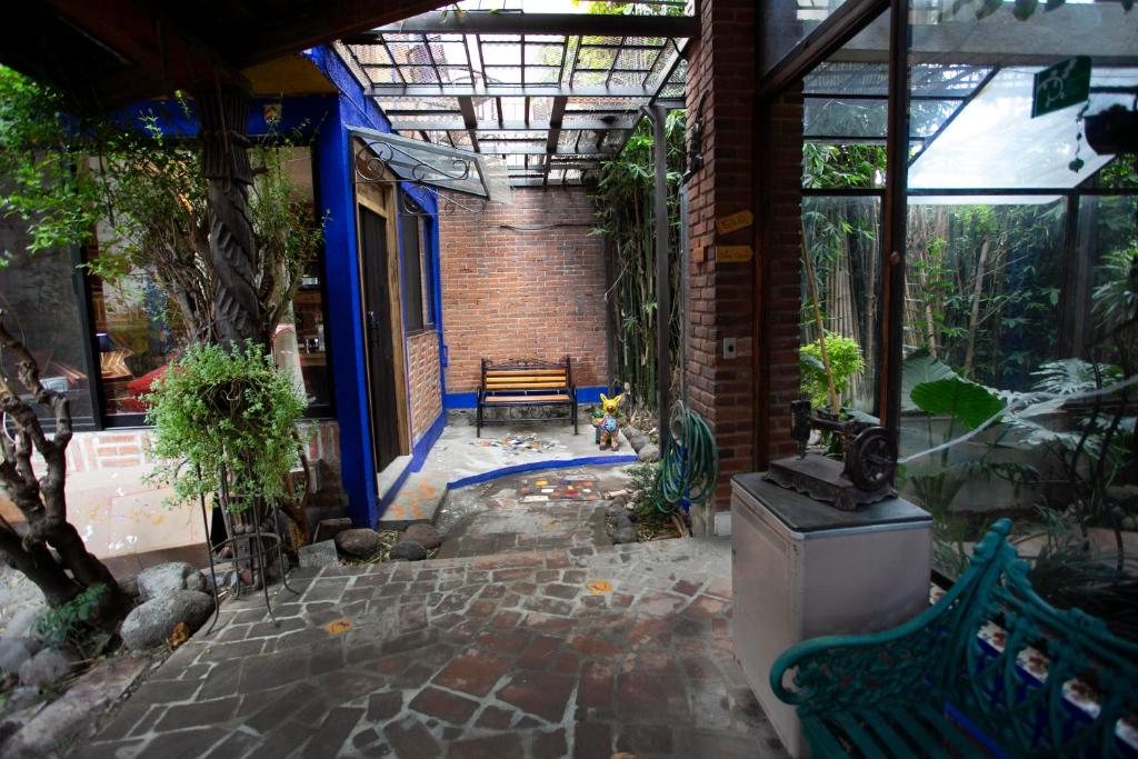 Majikal B&B - Alebrijes - Appartement Avec Terrasse