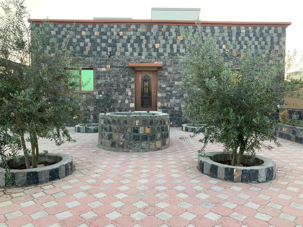 two trees in pots in front of a building at Aljabal Al Akhdar Olive Tree Guest house in Al ‘Aqar