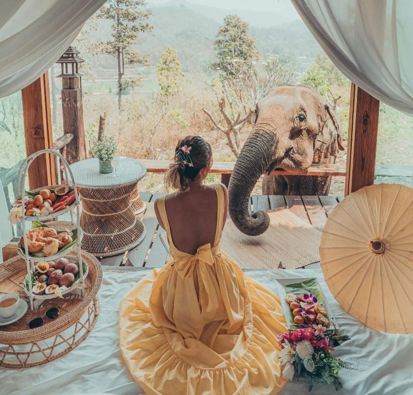 Una mujer con un vestido amarillo mirando a un elefante en Chai Lai Orchid, en Chiang Mai