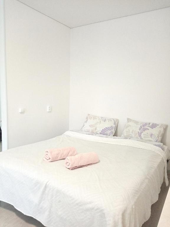 В Центре Событий. ул. Плеханова 32 - отзывы и видео