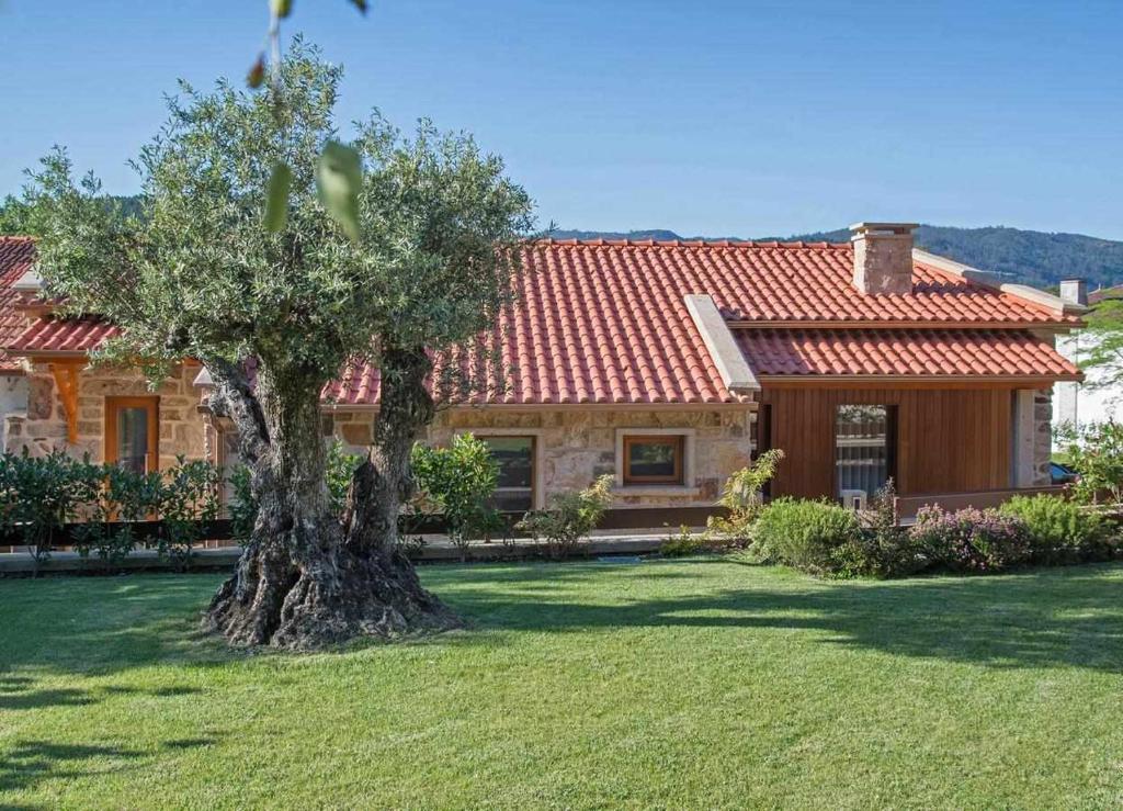 a house with a tree in the yard at Casa das Pesqueiras in Melgaço