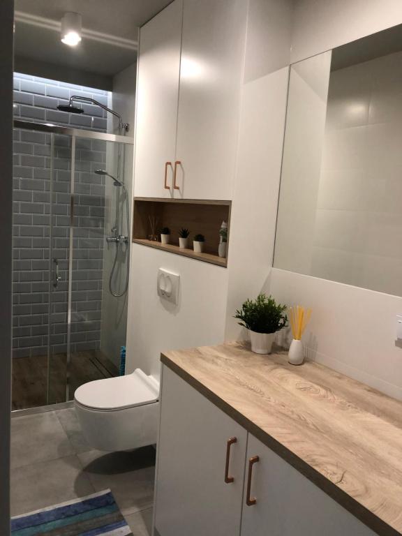 łazienka z toaletą, umywalką i prysznicem w obiekcie Apartamenty Klifowa w Rewalu