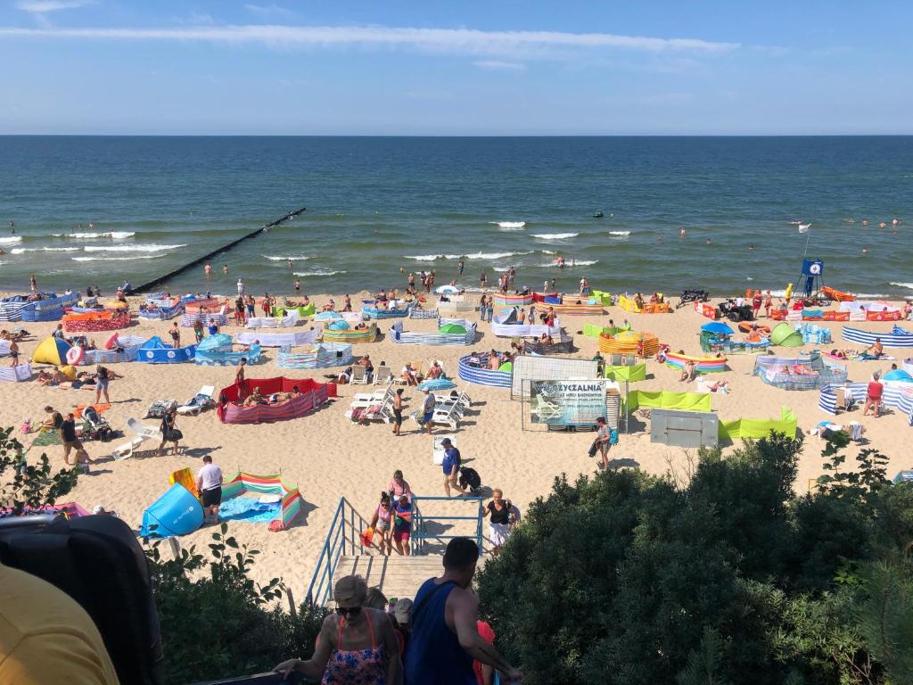 Przyroda w pobliżu tego apartamentu