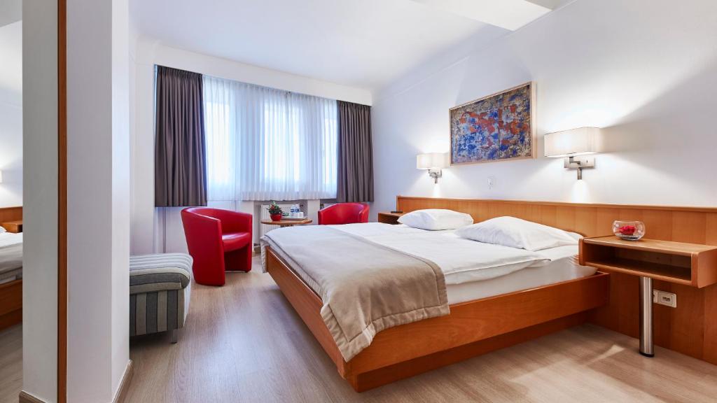 Hotel Francais - Resim 9