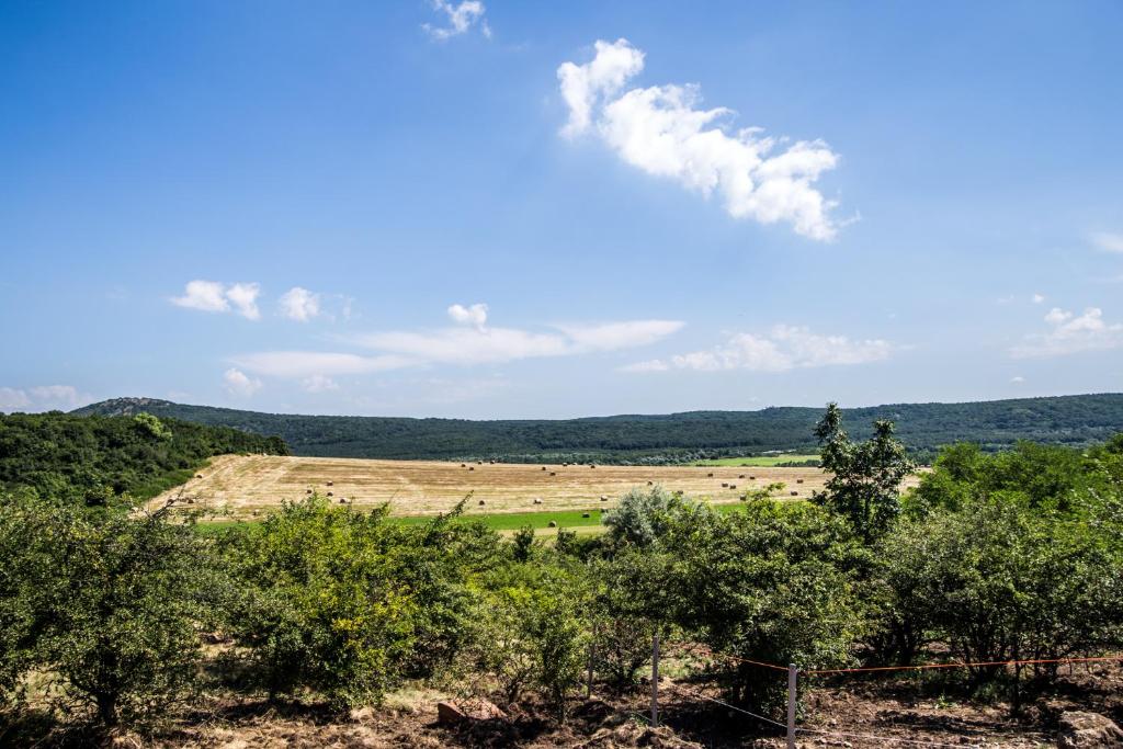 Příroda nedaleko apartmánu