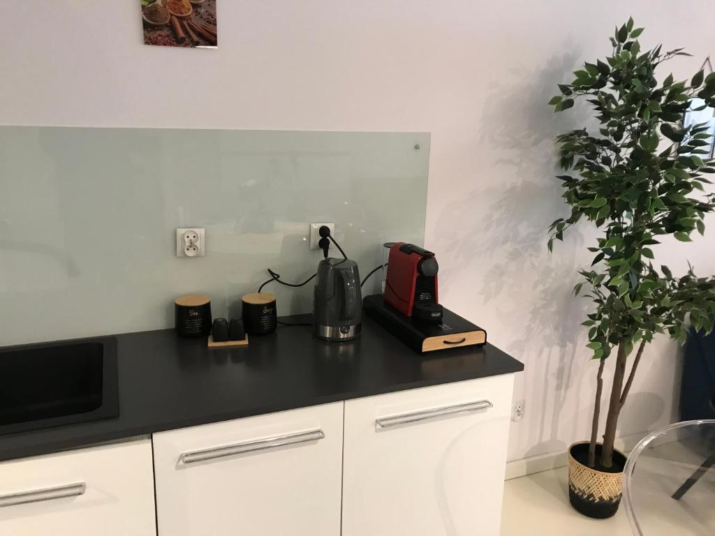 Kuchyňa alebo kuchynka v ubytovaní Browar Lubicz 17b apartament 11 by Atrium Apartments