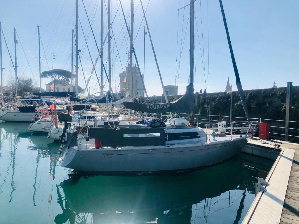 um grupo de barcos estão ancorados numa marina em Nuit insolite sur un voilier au cœur de La Rochelle em La Rochelle