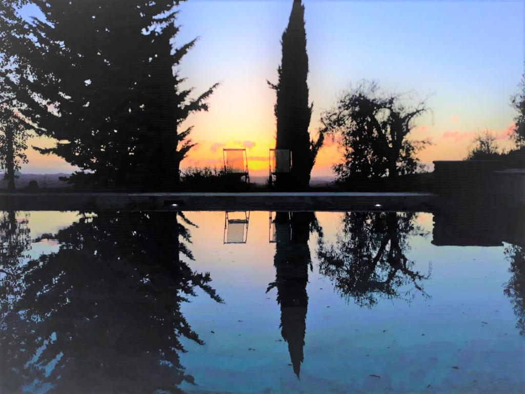 Príroda v okolí of the country house