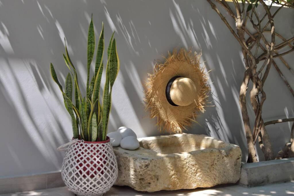 um vaso com ovos e uma planta sobre uma mesa em Onore em Lixouri