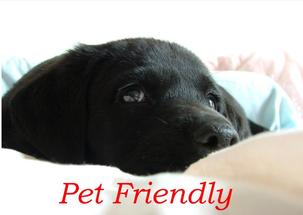  Nova Terra Premium seu chalé pet friendly no coração de Imbassaí