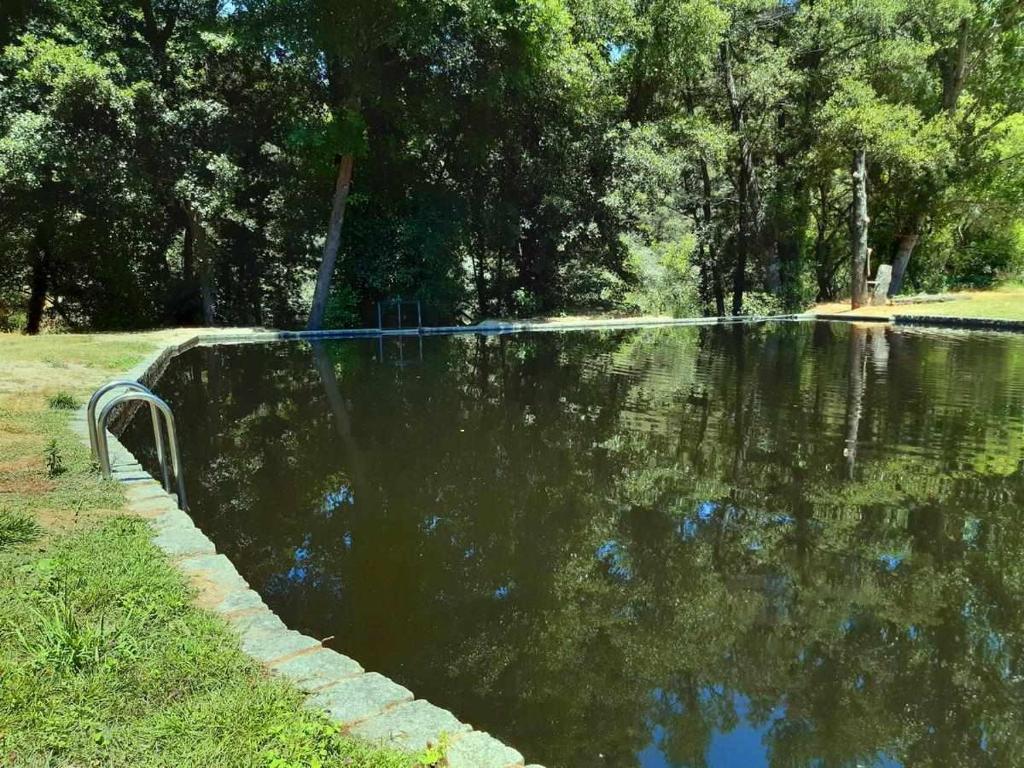 Příroda nedaleko apartmánu