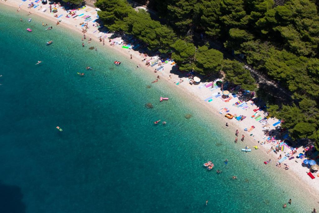 Príroda v okolí apartmánu