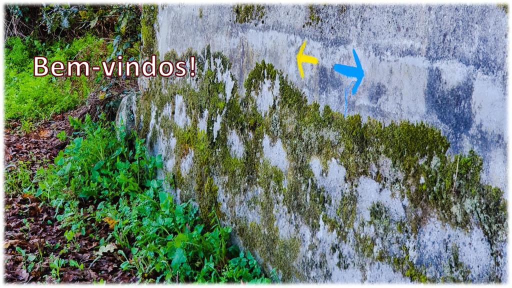 Fotografie z fotogalerie ubytování Alvorada Medieval, AL v destinaci Valença