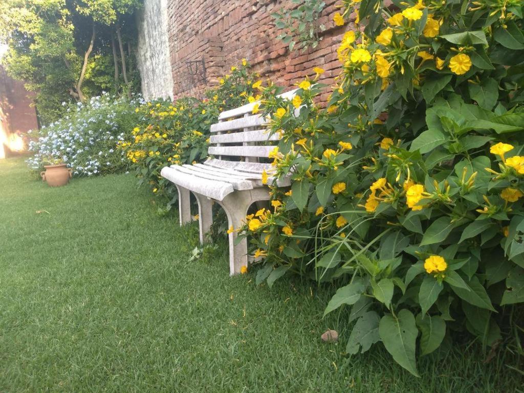 un banc en bois assis à côté d'une brousse de fleurs jaunes dans l'établissement la belle epoque, à San Antonio de Areco