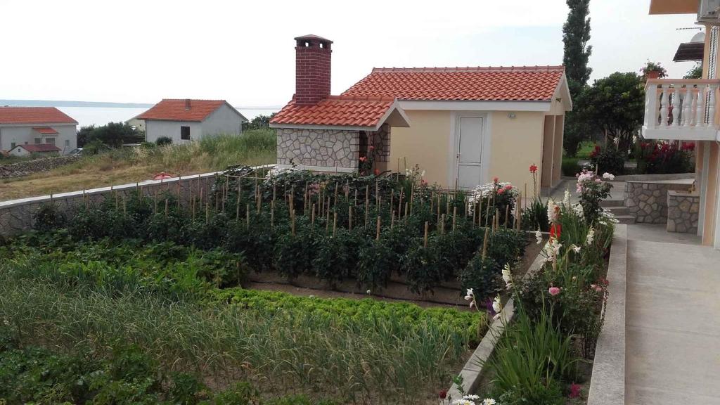 Zahrada ubytování Apartment in Rtina/Zadar Riviera 8162