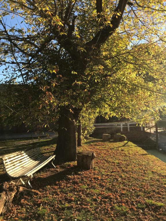 Casa Club en el Náutico Timón