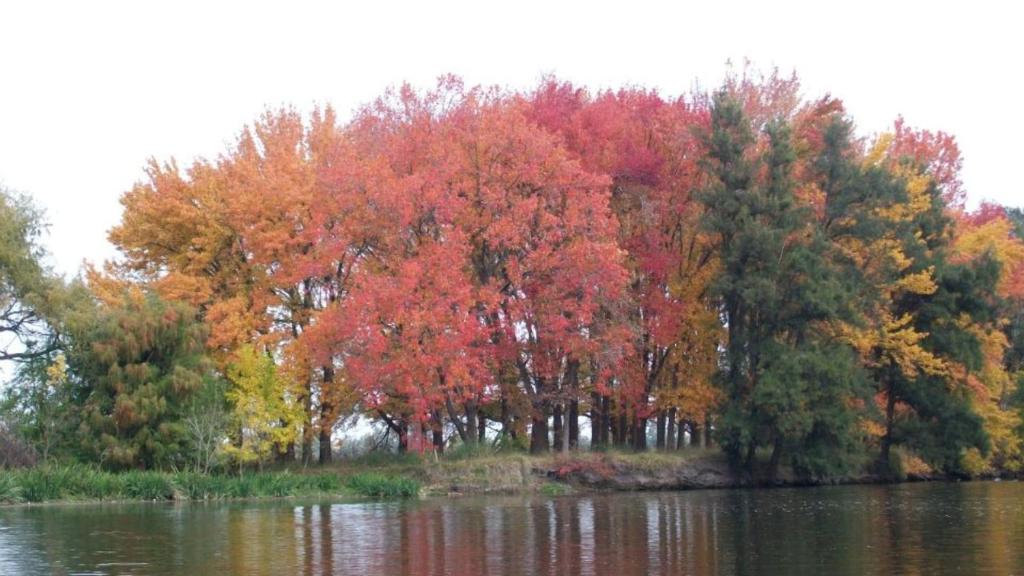 Casa Club en el Náutico Timón