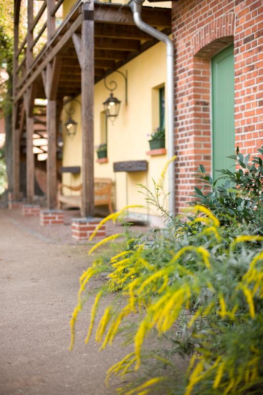 Zahrada ubytování Gasthaus und Pension "Zum Hauenden Schwein"