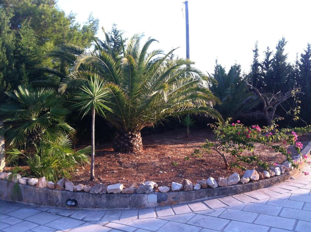 A garden outside Villa Trullo di Angela