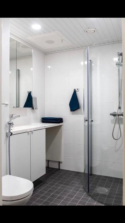 Trendy Homes Oulu Marski Apartments - Superior Studio