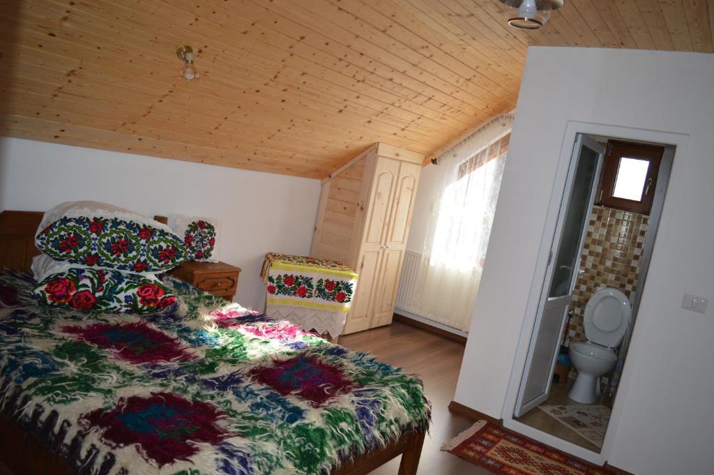 a bedroom with a bed and a window in a room at La Vasile la Cazan in Mara