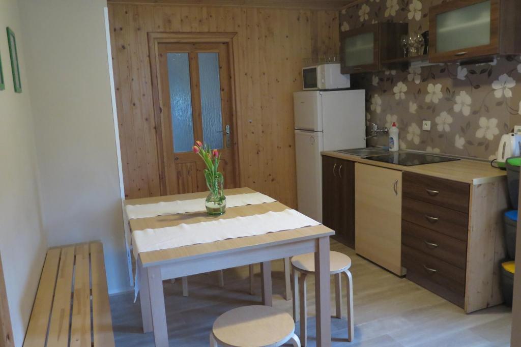 Kuchyň nebo kuchyňský kout v ubytování Apartments Skiareál U Vodárny Bedřichov