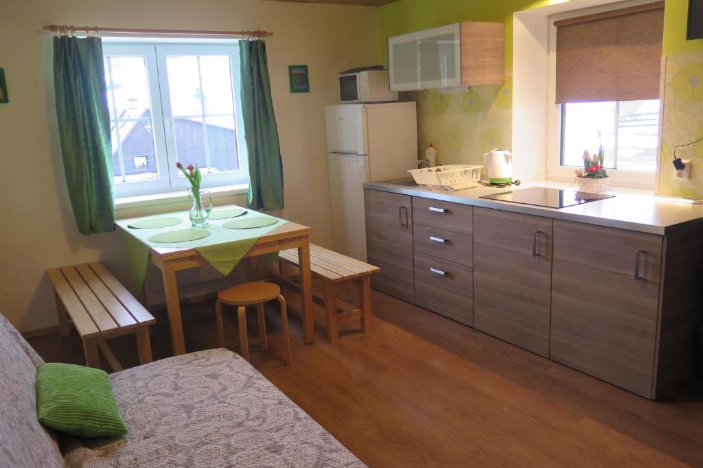 Kuchyň nebo kuchyňský kout v ubytování Apartments Skiareál U Vodárny Bedřichov