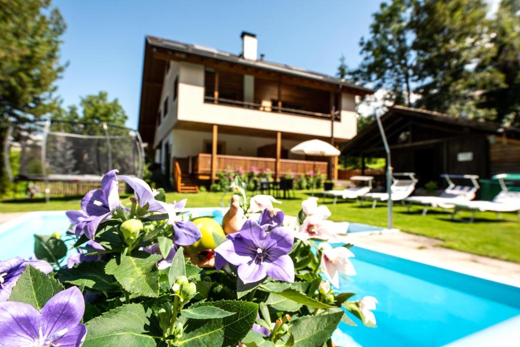 a house with purple flowers next to a swimming pool at Haus Bergfrieden Seiser Alm in Siusi
