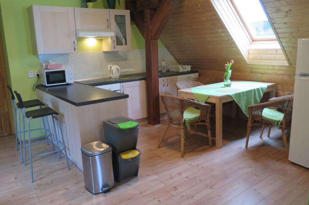 Kuchyň nebo kuchyňský kout v ubytování Apartments Skiareál U Vodárny Bedřichov