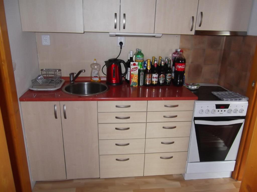 Kuchyň nebo kuchyňský kout v ubytování Penzion Apartmány Zlín
