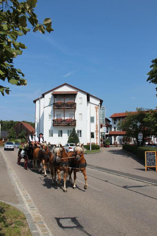 Zvířata v hotelu nebo okolí