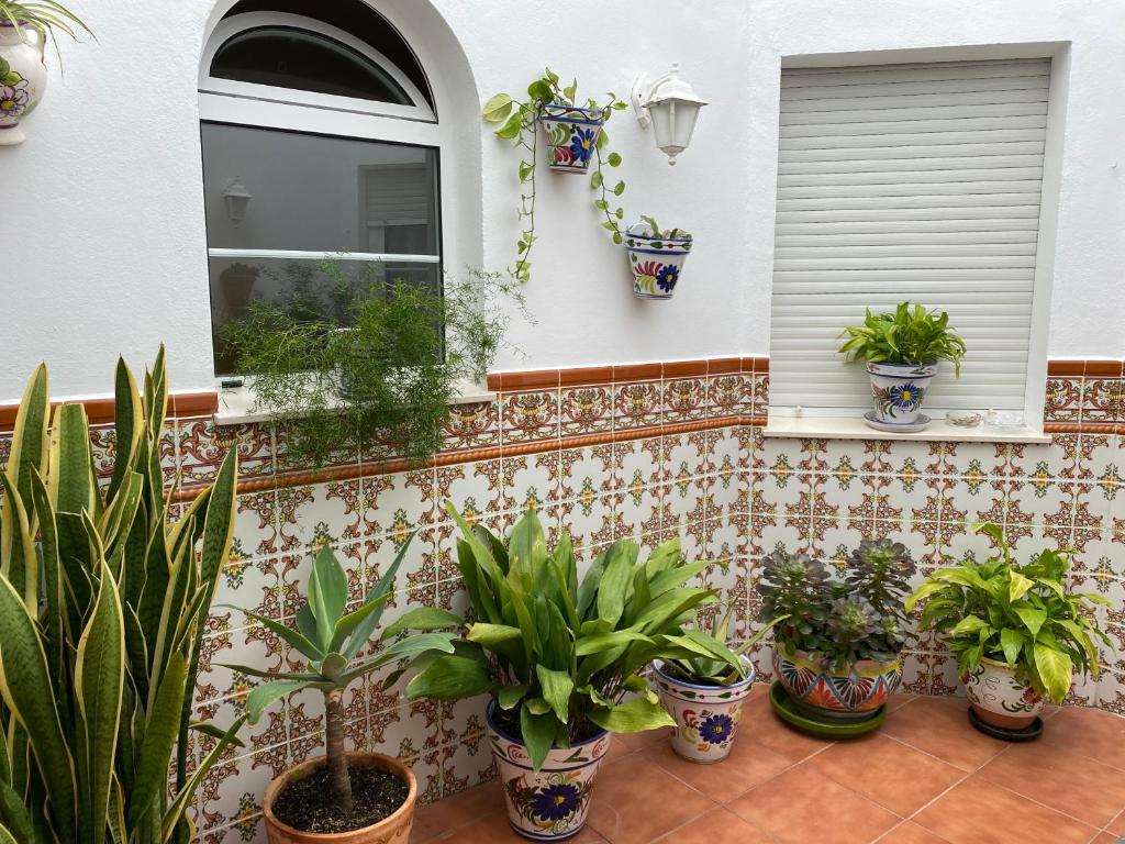 Zahrada ubytování Hostal Andalucia