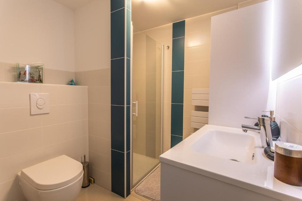 ein Bad mit einer Dusche, einem WC und einem Waschbecken in der Unterkunft L&#39;écureuil dans La vieille maison centre ville d&#39;Embrun in Embrun