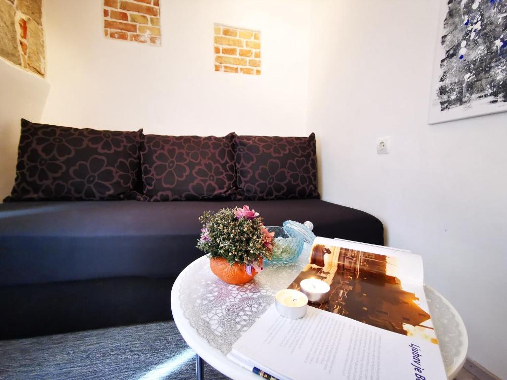 Posedenie v ubytovaní Apartment Herc