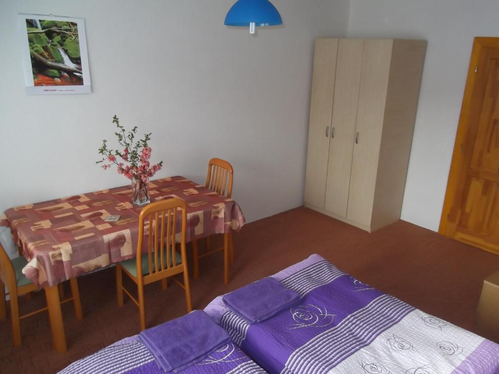 Postel nebo postele na pokoji v ubytování Penzion Apartmány Zlín