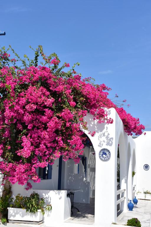 Bungalows Marina - 17