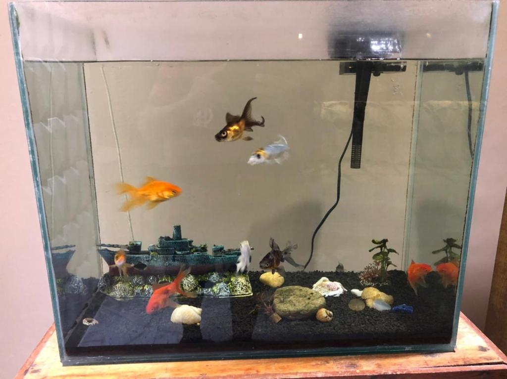  Family Home