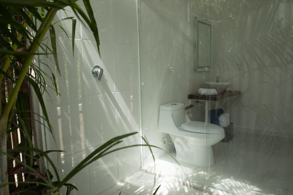 Koupelna v ubytování Zensus Eco Boutique Hotel