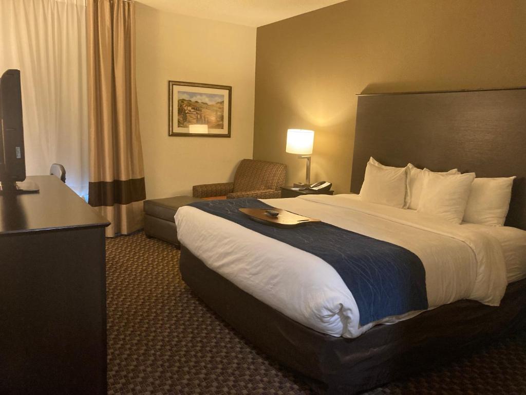 Comfort Inn Wings Stadium photo