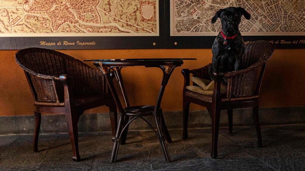 Hotel Villa San Pio - Resim 22